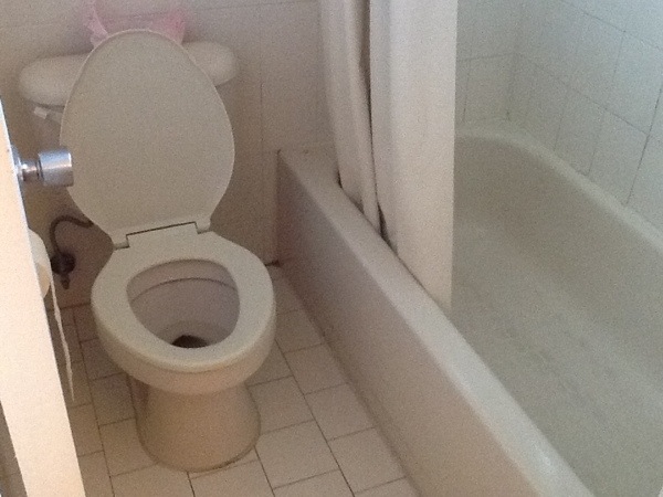 20111203-104340.jpg