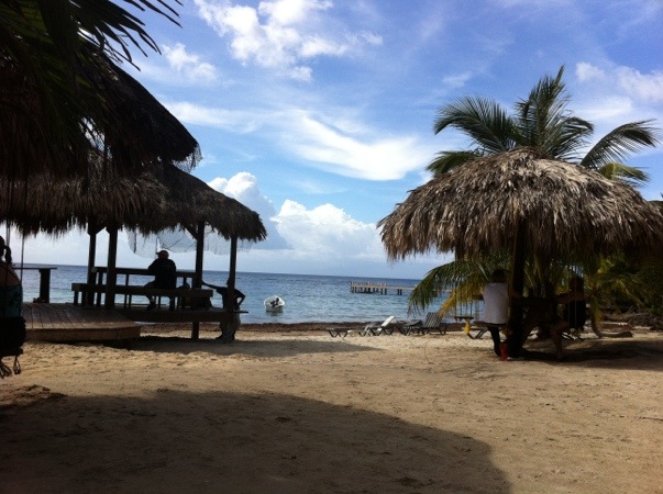 20111213-134034.jpg