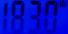Tanya Calgary blogger weight loss blog post